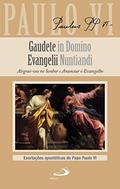 Ler Alegrai-Vos no Senhor e Anunciar o Evangelho, do autor Paulo VI Ler Alegrai-Vos no Senhor e Anunciar o Evangelho, do autor Paulo VI