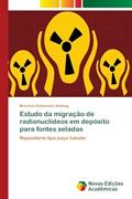 Ler Estudo da migração de radionuclídeos em depósito para fontes seladas: Repositório tipo poço tubular, do autor Maurício Guimarães Sabbag