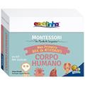 Ler Escolinha MONTESSORI Meu P BOX de Atividades: Corpo Humano (Escolinha), do autor Chiara Piroddi Ler Escolinha MONTESSORI Meu P BOX de Atividades: Corpo Humano (Escolinha), do autor Chiara Piroddi