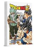Ler Dragon Ball Super Vol. 16, do autor Akira Toriyama Ler Dragon Ball Super Vol. 16, do autor Akira Toriyama