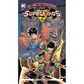 Ler O Desafio dos Superfilhos, do autor Peter Tomasi