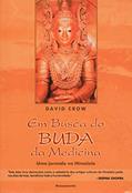 Ler Em Busca do Buda da Medicina: uma Jornada no Himalaia, do autor David Crow
