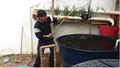 Ler CRIAÇÃO DE PEIXES EM CAIXA D`ÁGUA PASSO A PASSO.: SISTEMA DE MONTAGEM CAIXA D`ÁGUA PARA CRIAÇÃO DE PEIXES EM DETALHES, do autor ENFº WALTER ALVES DO AMARAL Ler CRIAÇÃO DE PEIXES EM CAIXA D`ÁGUA PASSO A PASSO.: SISTEMA DE MONTAGEM CAIXA D`ÁGUA PARA CRIAÇÃO DE PEIXES EM DETALHES, do autor ENFº WALTER ALVES DO AMARAL
