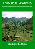 Ler A Fuga do Trinca-Ferro, do autor João José Da Costa Ler A Fuga do Trinca-Ferro, do autor João José Da Costa