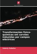 Ler Transformações físico-químicas em carvões induzidas por campos eléctricos, do autor Valeriy Sobolev; Aleksandr Molchanov; Dmitry Rudakov Ler Transformações físico-químicas em carvões induzidas por campos eléctricos, do autor Valeriy Sobolev; Aleksandr Molchanov; Dmitry Rudakov