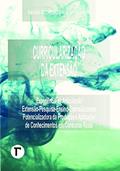 Ler Curricularização da Extensão: Experiência da Articulação Extensão-pesquisa-ensino-extensão Como Potencializadora da Produção e Aplicação de Conhecimentos em Contextos Reais, do autor Simone Loureiro Brum Imperatore