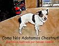 Ler Como Nós Adotamos Chestnut!, do autor Denise Conklin Ler Como Nós Adotamos Chestnut!, do autor Denise Conklin