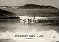 Ler Arpoador surf club, do autor Tito Rosemberg Ler Arpoador surf club, do autor Tito Rosemberg