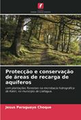 Ler Protecção e conservação de áreas de recarga de aquíferos: com plantações florestais na microbacia hidrográfica de Katiri, no município de Llallagua., do autor Jesus Paraguayo Choque