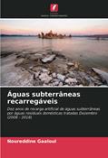 Ler Águas subterrâneas recarregáveis: Dez anos de recarga artificial de águas subterrâneas por águas residuais domésticas tratadas Dezembro (2008 - 2018), do autor Noureddine Gaaloul