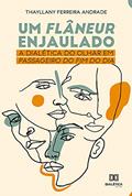 Ler Um Flâneur Enjaulado: a dialética do olhar em Passageiro do Fim do Dia, do autor Thayllany Ferreira Andrade