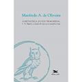 Ler A metafísica do ser primordial: L.B. Puntel e o desafio de repensar a metafísica hoje, do autor Manfredo Araújo de Oliveira