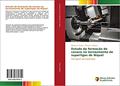 Ler Estudo da formação do cavaco no torneamento de superligas de Níquel: Usinagem de superligas, do autor Renann P. Gama; Marcos V. Ribeiro Ler Estudo da formação do cavaco no torneamento de superligas de Níquel: Usinagem de superligas, do autor Renann P. Gama; Marcos V. Ribeiro