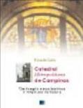 Ler Catedral Metropolitana De Campinas. Um Templo E Sua Historia, do autor Ricardo Leite Ler Catedral Metropolitana De Campinas. Um Templo E Sua Historia, do autor Ricardo Leite