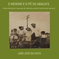 Ler O Menino e o Pe de Abacate, do autor João José Da Costa