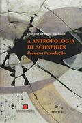 Ler Antropologia de Schneider: Pequena Introdução, do autor Igor José de Renó Machado