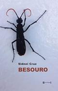 Ler Besouro, do autor Sidnei Cruz