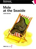 Ler Mole at the Seaside, do autor Julie Davies