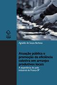 Ler Atuação pública e promoção da eficiência coletiva em arranjos produtivos locais, do autor Agnaldo de Sousa Barbosa