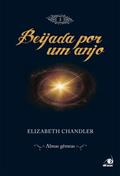 Ler Beijada por um anjo 3 - almas gêmeas, do autor Elizabeth Chandler