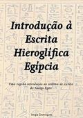 Ler Introdução à Escrita Hieroglífica Egípcia: Uma rápida introdução ao sistema de escrita do Antigo Egito, do autor Sergio Domingues