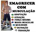 Ler EMAGRECER COM MUSCULAÇÃO: MACROCICLO COMPLETO, do autor HERON POHLENZ Ler EMAGRECER COM MUSCULAÇÃO: MACROCICLO COMPLETO, do autor HERON POHLENZ