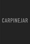 Ler Carpinejar, do autor Fabrício Carpinejar