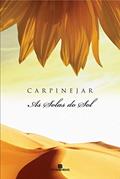 Ler As solas do Sol (Ed. Revista), do autor Carpinejar