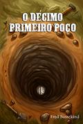 Ler O Décimo Primeiro Poço, do autor Fred Sussekind