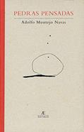 Ler Pedras Pensadas: Inscrições (1980-2002), do autor Adolfo Montejo Navas