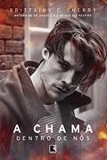 Ler A chama dentro de nós, do autor Brittainy Cherry