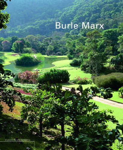 Ler Burle Marx - Coleção Espaços da Arte Brasileira, do autor Vera Beatriz Siqueira Ler Burle Marx - Coleção Espaços da Arte Brasileira, do autor Vera Beatriz Siqueira