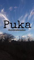 Ler PUKA: Sem medo de demonstrar., do autor Milton Rian