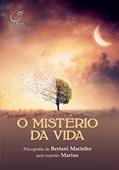 Ler O mistério da vida, do autor Bertani Marinho; Marius