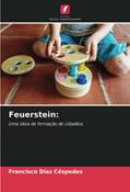 Ler Feuerstein:: Uma ideia de formação de cidadãos, do autor Francisco Díaz Céspedes Ler Feuerstein:: Uma ideia de formação de cidadãos, do autor Francisco Díaz Céspedes