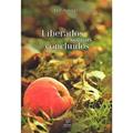 Ler LIBERADOS SOMOS CONCLUÍDOS, do autor BERT HELLINGER Ler LIBERADOS SOMOS CONCLUÍDOS, do autor BERT HELLINGER
