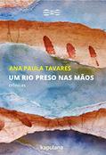 Ler Um rio Preso nas Mãos: Crônicas, do autor Ana Paula Tavares