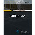 Ler Cirurgia: Série Blueprints, do autor Seth J. Karp; James P. G. Morris