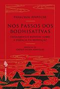Ler Nos passos dos bodhisattvas: Ensinamentos budistas sobre a essência da meditação, do autor Phakchok Rinpoche