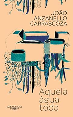 Aquela água toda, do autor João Anzanello Carrascoza