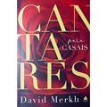 Ler Cantares para casais: Princípios práticos para um casamento alicerçado na Palavra, do autor David Merkh Ler Cantares para casais: Princípios práticos para um casamento alicerçado na Palavra, do autor David Merkh