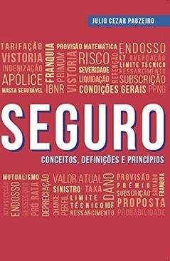 SEGURO: Conceitos, Definições e Princípios, do autor Julio Cezar Pauzeiro