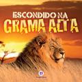 Ler Escondido na grama alta, do autor Barbara Taylor