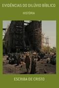 Ler Evidencias do Diluvio Biblico, do autor Central De Ensinos Bíblicos