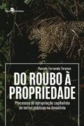 Ler Do Roubo à Propriedade: Processos de Apropriação Capitalista de Terras Públicas na Amazônia, do autor Marcelo Fernando Terence