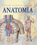 Ler Atlas Ilustrado de Anatomia, do autor Adriana Rigutti