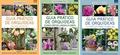 Ler Guia Prático de Orquídeas - Temporada 1 (Volumes 1, 2 e 3): 3 Volumes, do autor EDITORA EUROPA Ler Guia Prático de Orquídeas - Temporada 1 (Volumes 1, 2 e 3): 3 Volumes, do autor EDITORA EUROPA