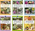 Ler Guia Prático de Orquídeas - Temporadas 1 e 2 ( Volumes 1 a 6), do autor Editora Europa Ler Guia Prático de Orquídeas - Temporadas 1 e 2 ( Volumes 1 a 6), do autor Editora Europa