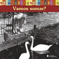 Ler Vamos somar, do autor Laureni Fochetto