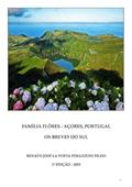 Ler Familia Flores (Acores, Portugal), do autor Renato Jose La Porta Pimazzoni Filho